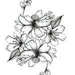 Photoshop Project - Floral Pattern Part 1